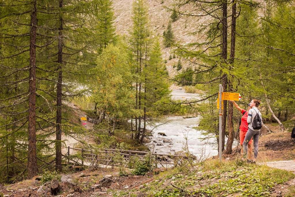 فندق ذا كابرا ساس-في Saas Fee المظهر الخارجي الصورة